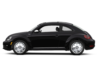 Beetle